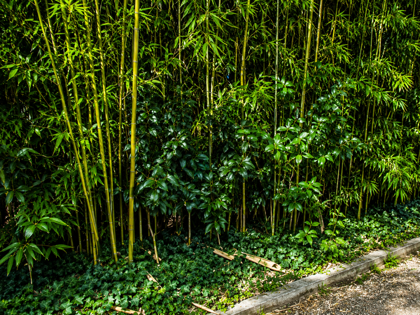 img_environnement10