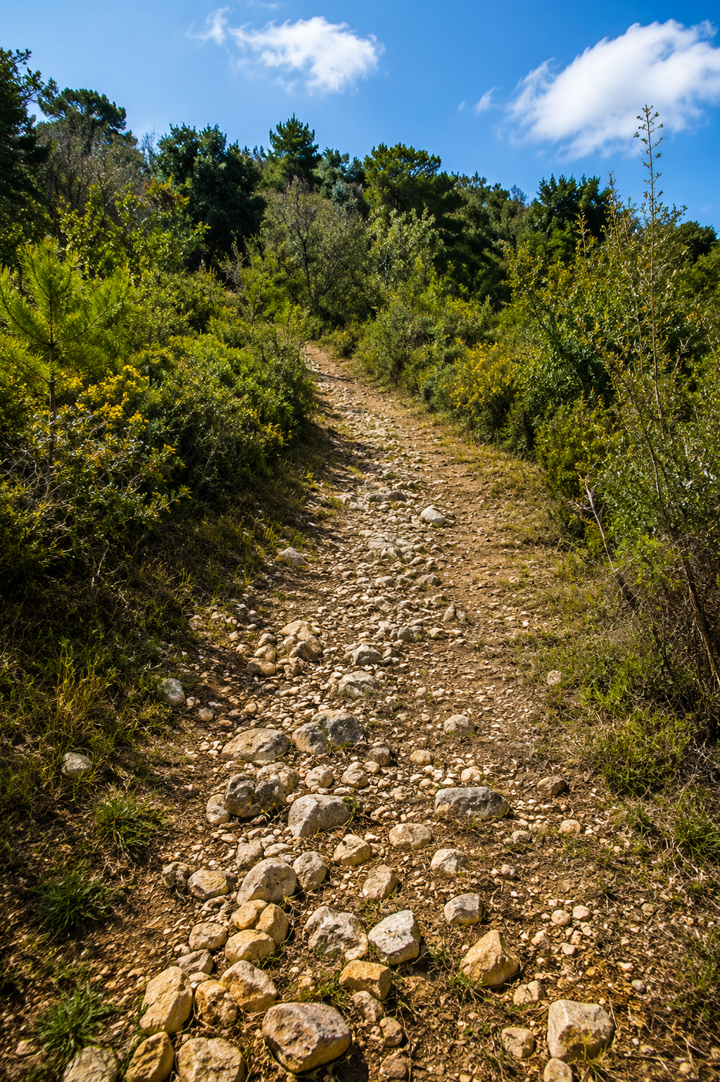 img_environnement14