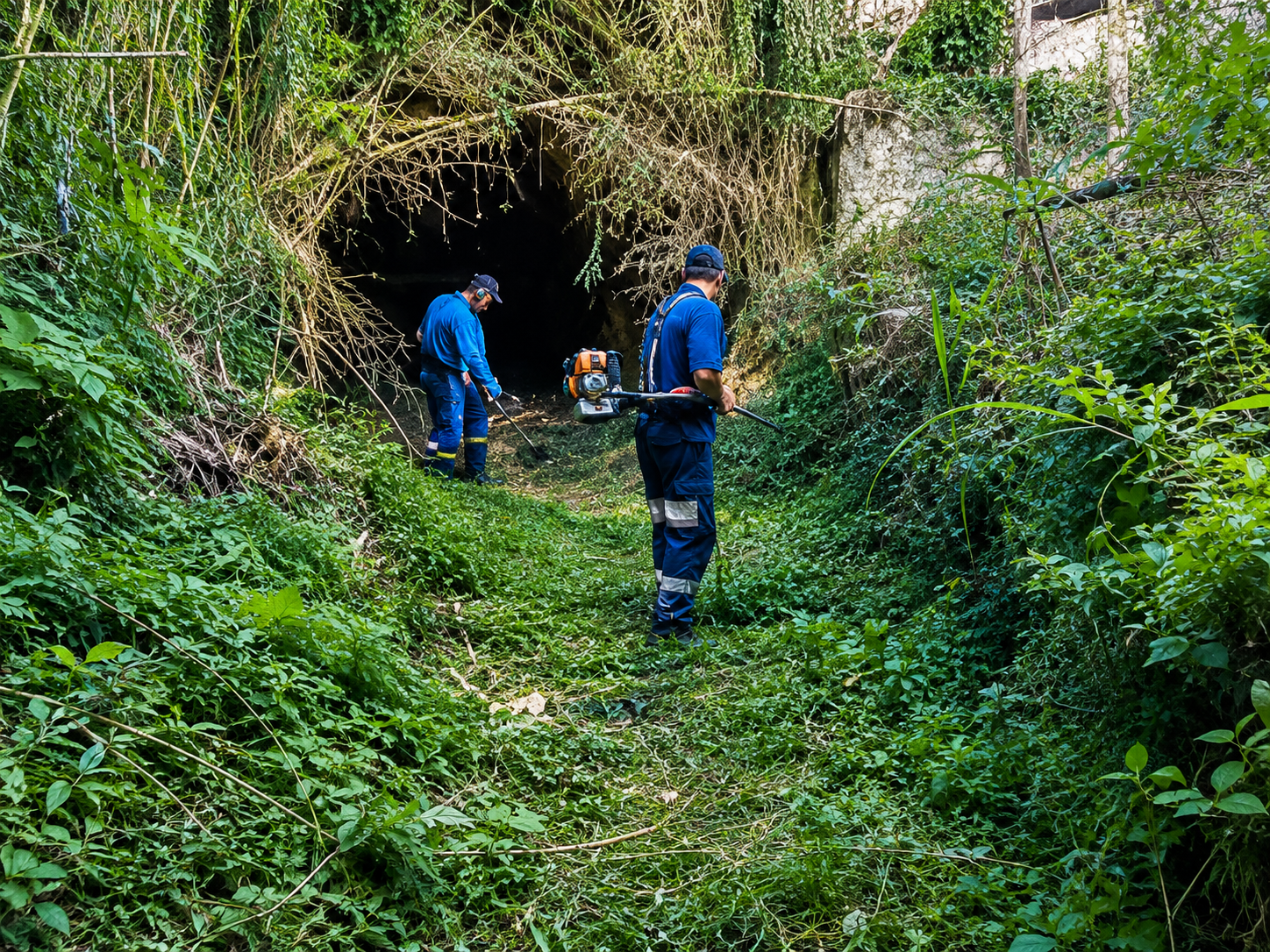 img_environnement3