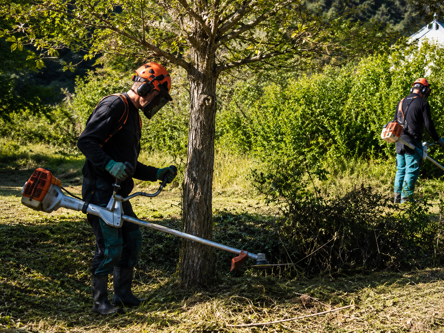 img_environnement4